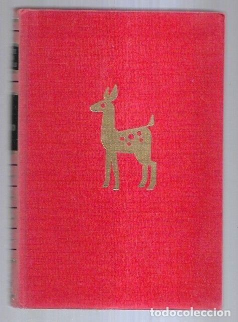 Libros: CACHORRO - EL - RAWLINGS, MARJORIE KINNAN - Foto 2