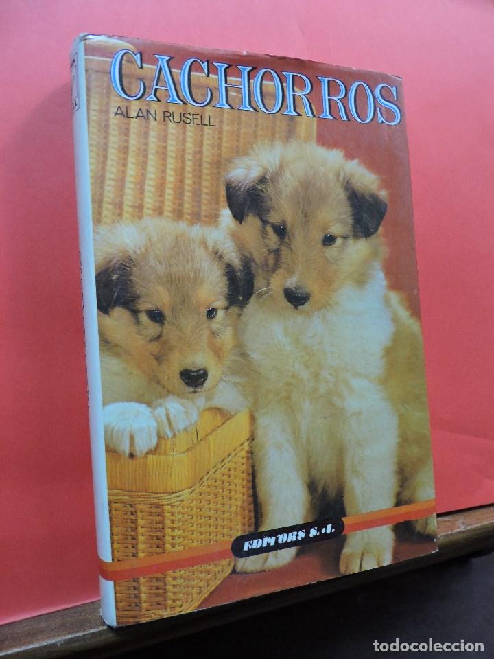 Libros: Cachorros. RUSELL, Alan. Ediciones Dalmau. Barcelona 1986. - Foto 1