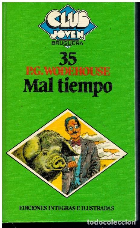 Libros: MAL TIEMPO. Ilustrs. de Mabel &Aacute;lvarez. - Foto 1
