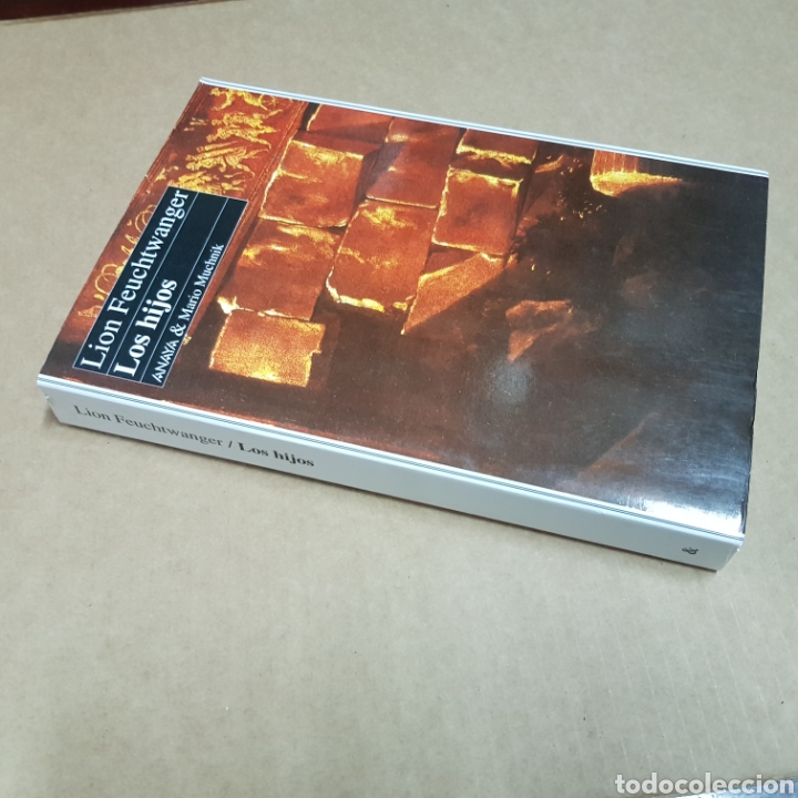 Libros: LOS HIJOS - LION FEUTCHWANGER - Foto 6