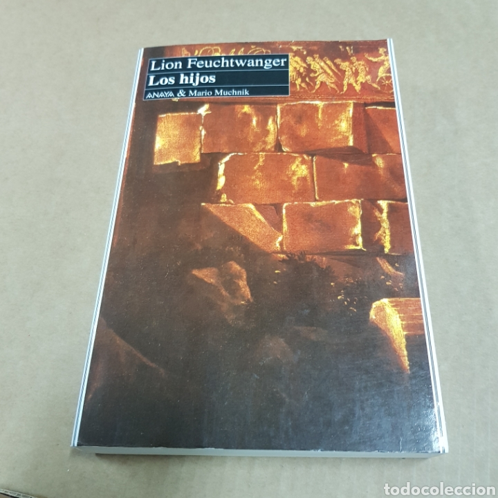 Libros: LOS HIJOS - LION FEUTCHWANGER - Foto 7