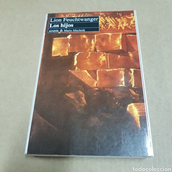 Libros: LOS HIJOS - LION FEUTCHWANGER - Foto 1
