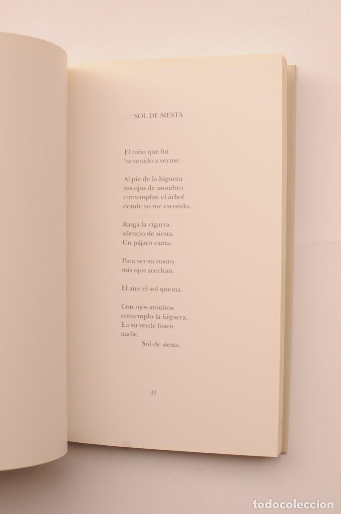 Libros: Sol de siesta - TORREGROSA, Juan Ram&oacute;n - Foto 3