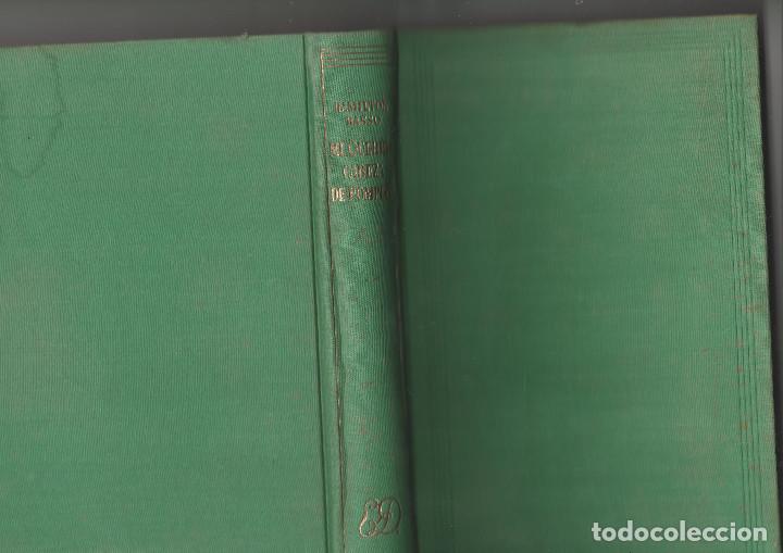 Libros: MI QUERIDA CABEZA DE POMPEYA- HAMILTON BASSO - Foto 1