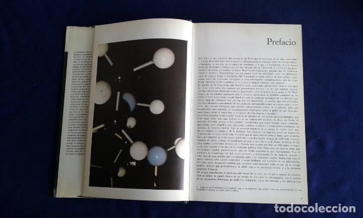 Libros: EL ORIGEN DE LA VIDA, J.D.BERNAL, EDICIONES DESTINO - Foto 3