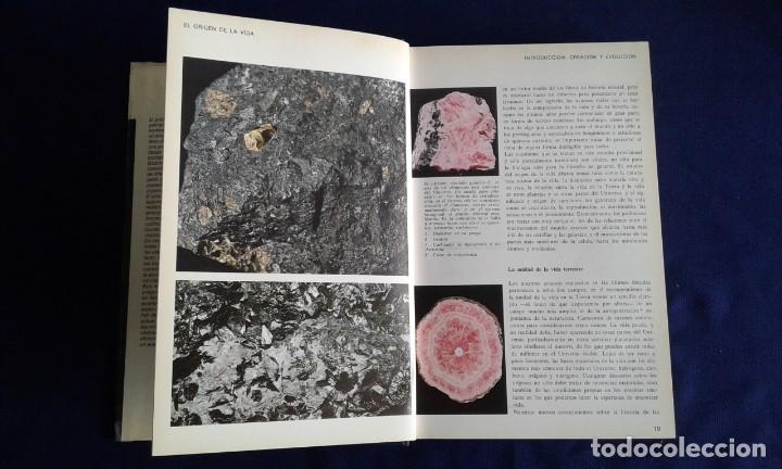 Libros: EL ORIGEN DE LA VIDA, J.D.BERNAL, EDICIONES DESTINO - Foto 4