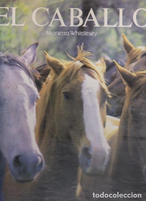 Libros: EL CABALLO - MARIETTA WHITTLESEY - Foto 1