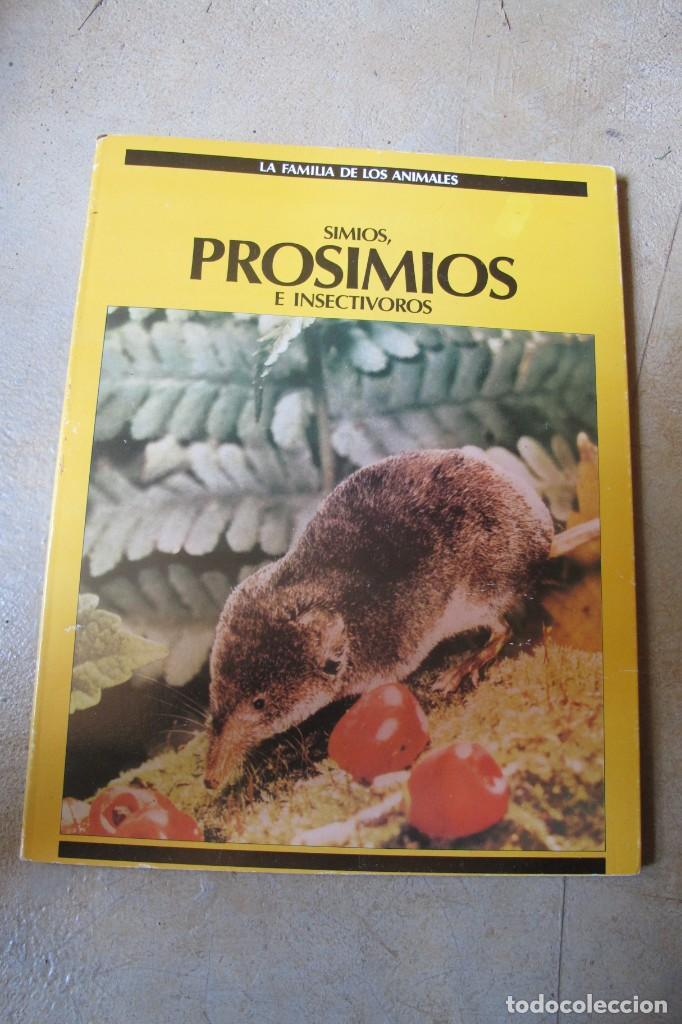 Libri di seconda mano: SIMIOS, PROSIMIOS E INSECTIVOROS. LA FAMILIA DE LOS ANIMALE