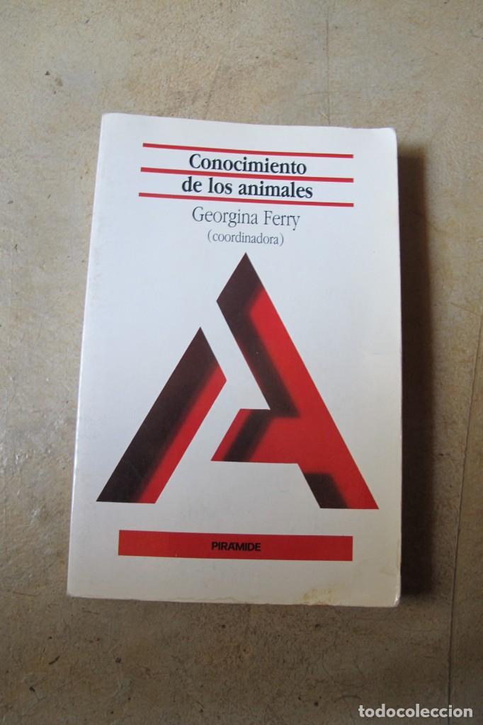 Libros: CONOCIMIENTO DE LOS ANIMALES. GEORGINA FERRY (COORDINADORA) - Foto 1