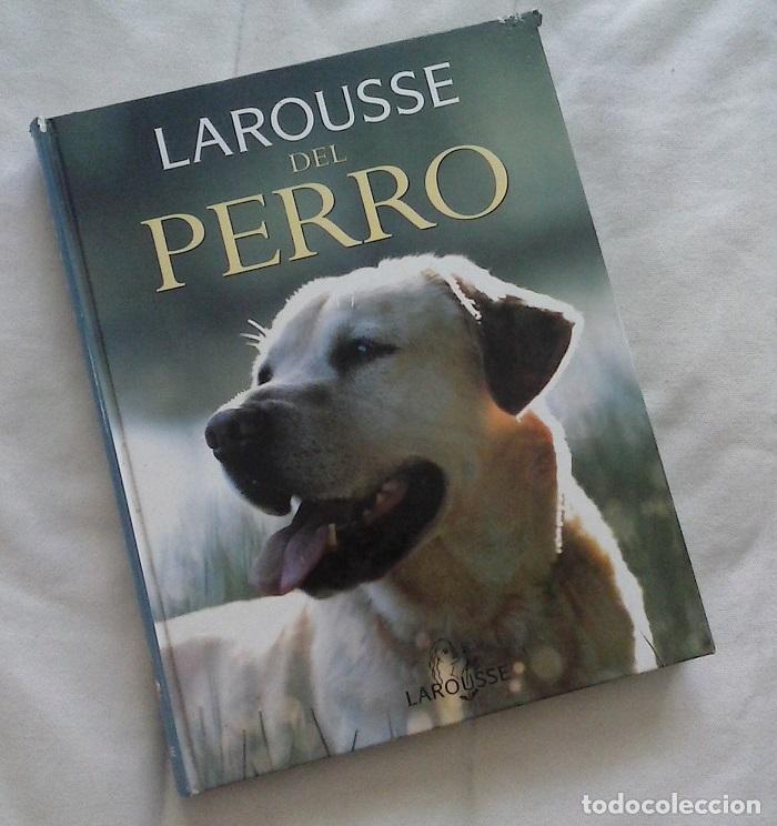 Libros: Larousse del perro - vvaa - Foto 2