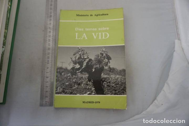 Livres: AR/2/ DIEZ TEMAS SOBRE LA VID - ARANGA ECHEVERRIA / MINISTERIO DE AGRICULTURA MADRID 1979