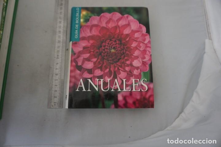 Livres: AR/2/ GUIA DE BOLSILLO - ANUALES / EDILUPA