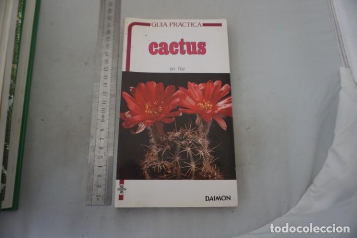 Libros: AR/2/ CACTUS EN FLOR - GUY RAYZER / DAIMON - Foto 1