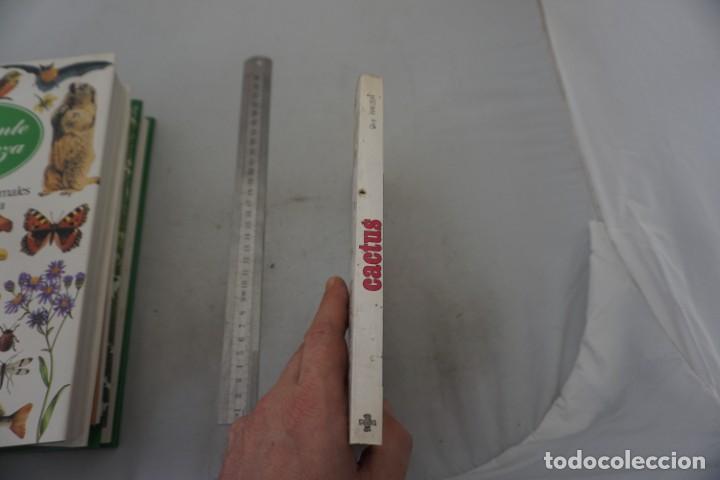 Libros: AR/2/ CACTUS EN FLOR - GUY RAYZER / DAIMON - Foto 2