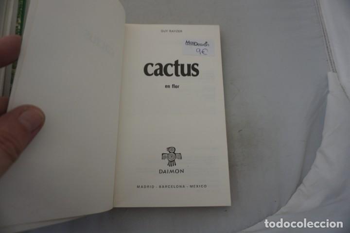 Libros: AR/2/ CACTUS EN FLOR - GUY RAYZER / DAIMON - Foto 3