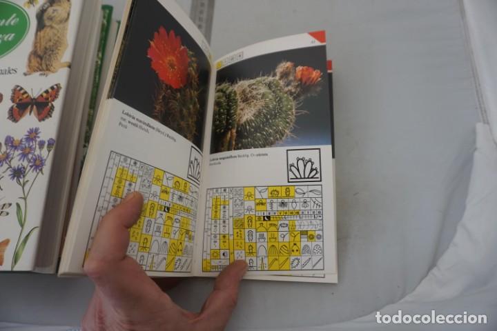 Libros: AR/2/ CACTUS EN FLOR - GUY RAYZER / DAIMON - Foto 4