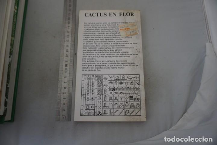 Libros: AR/2/ CACTUS EN FLOR - GUY RAYZER / DAIMON - Foto 5