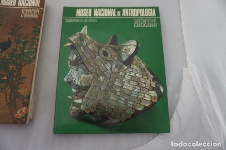 books: AR/3/ MUSEO NACIONAL DE ANTROPOLOGIA - MEXICO / ARGOS VERGARA