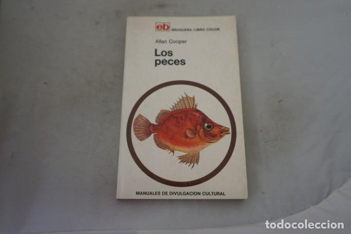 Libros: AR/3/ LOS PECES - A&Ntilde;&Ntilde;AM COOPER / BRUGUERA - Foto 1