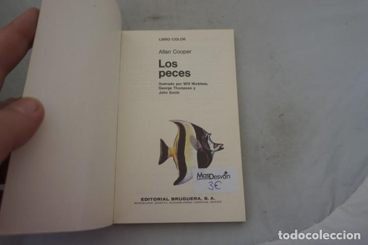 Libros: AR/3/ LOS PECES - A&Ntilde;&Ntilde;AM COOPER / BRUGUERA - Foto 2