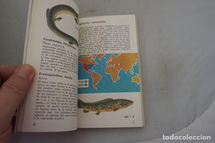 Libros: AR/3/ LOS PECES - A&Ntilde;&Ntilde;AM COOPER / BRUGUERA - Foto 3