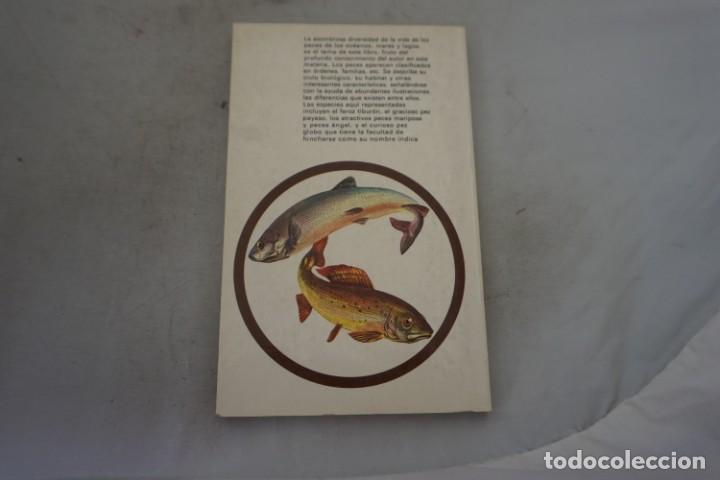 Libros: AR/3/ LOS PECES - A&Ntilde;&Ntilde;AM COOPER / BRUGUERA - Foto 4