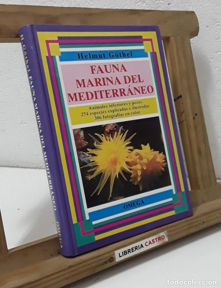 Libros: Fauna marina del Mediterr&aacute;neo - Helmut G&ouml;thel - Foto 1