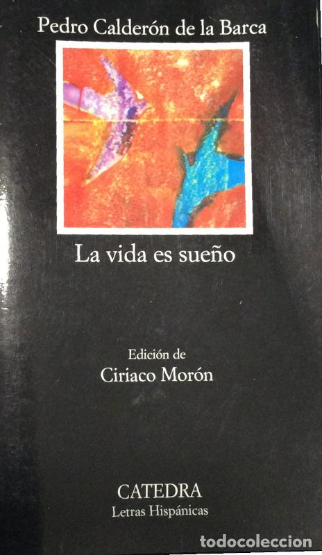 Libros: La vida es sue&ntilde;o - Pedro Calder&oacute;n de la Barca - Foto 1