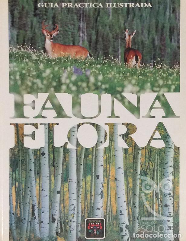 Libros: Fauna Flora. Gu&iacute;a Practica ilustrada - Michael Chinery (Director) - Foto 1