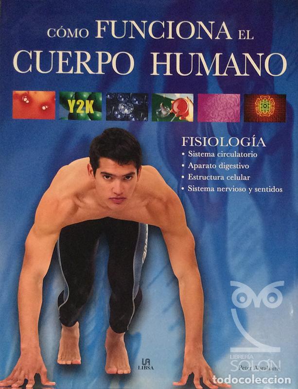 Libros: C&oacute;mo funciona el cuerpo humano - Peter Abrahams - Foto 1