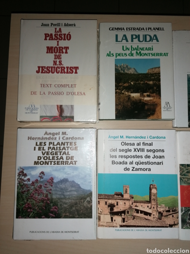 Libros: PUBLICACIONS DE LABADIA DE MONTSERRAT - Foto 3