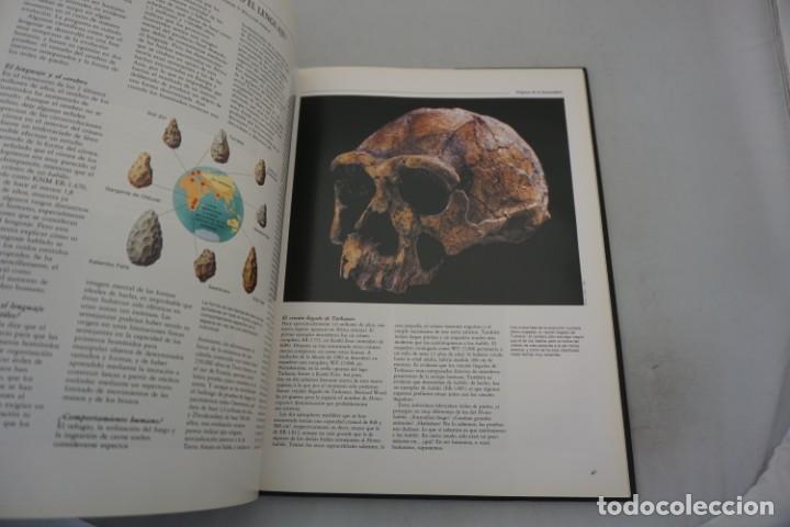 Libros: 19E - EL AMANECER DE LA HUMANIDAD LOS PRIMEROS HUMANOS / CIRCULO DE LECTORES - Foto 8