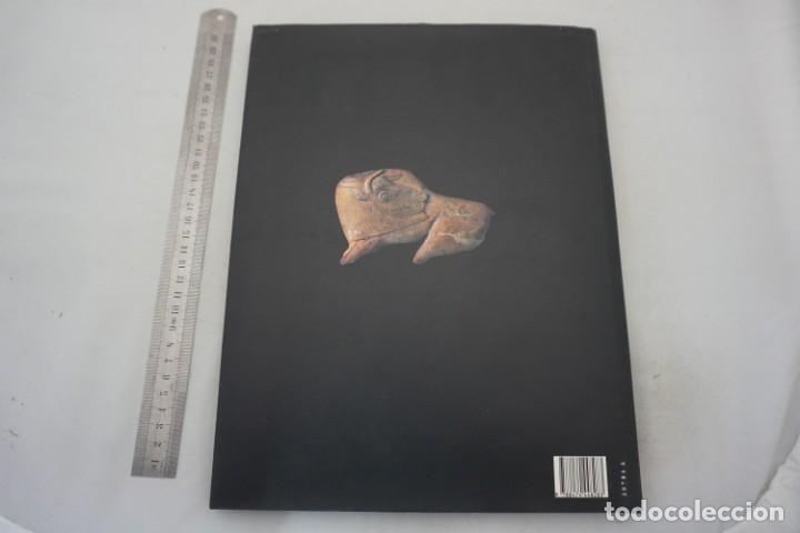 Libros: 19E - EL AMANECER DE LA HUMANIDAD LOS PRIMEROS HUMANOS / CIRCULO DE LECTORES - Foto 9