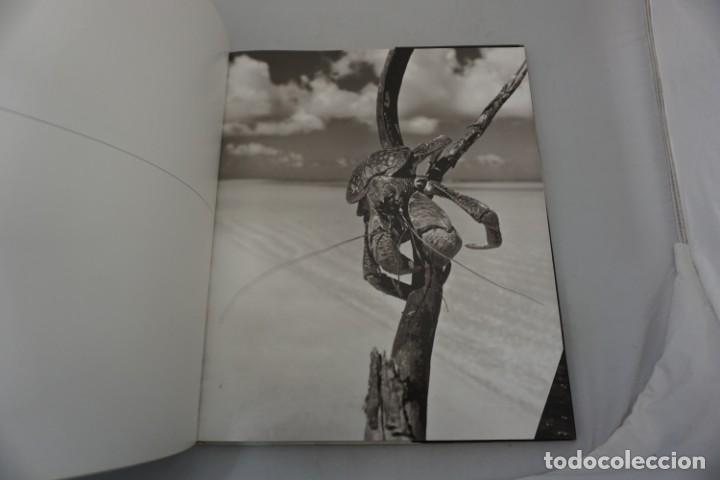 Libros: 20E - EQUATOR - GIAN PAOLO BARBIERI / TASCHEN - Foto 5