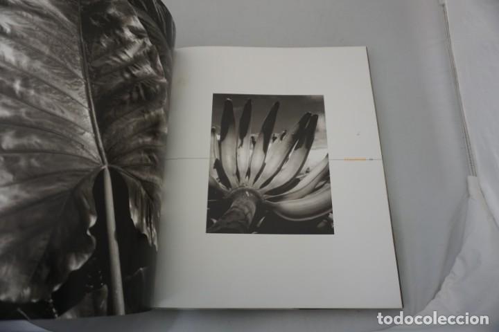 Libros: 20E - EQUATOR - GIAN PAOLO BARBIERI / TASCHEN - Foto 8