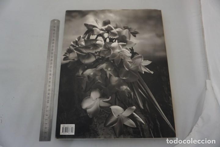 Libros: 20E - EQUATOR - GIAN PAOLO BARBIERI / TASCHEN - Foto 9