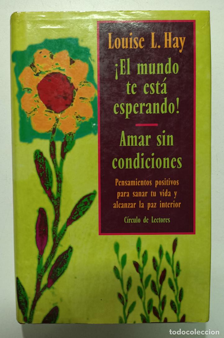 Libros: &iquest;Sabes ense&ntilde;ar? Manual para padres y profesores / Javier Mahillo - Foto 1