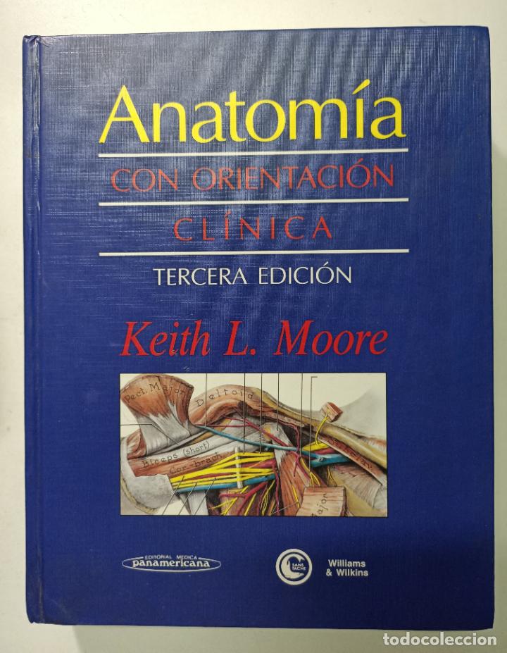 Libros: Anatom&iacute;a con orientaci&oacute;n cl&iacute;nica / KEITH L.MOORE - Foto 1