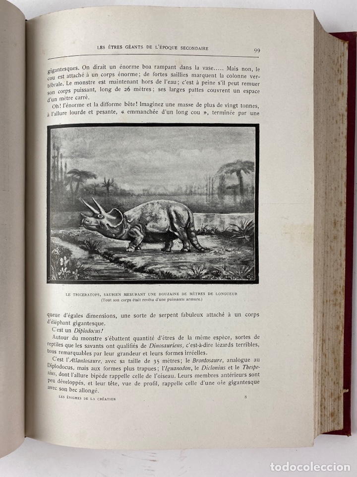 Libros: L-5601. LES ENIGMES DE LA CR&Eacute;ATION, ABB&Eacute; TH.MOREUX. - Foto 5