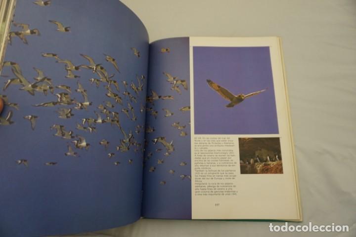 Libros: 15 G - PARAISOS - WILLI & URSULA DOLER - Foto 6