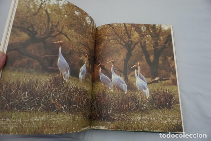 Libros: 15 G - PARAISOS - WILLI & URSULA DOLER - Foto 7