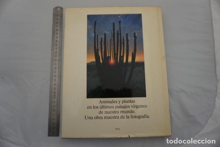 Libros: 15 G - PARAISOS - WILLI & URSULA DOLER - Foto 8
