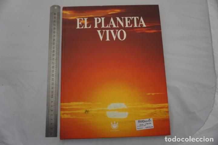 Libros: 15 G - EL PLANETA VIVO / RBA - Foto 1