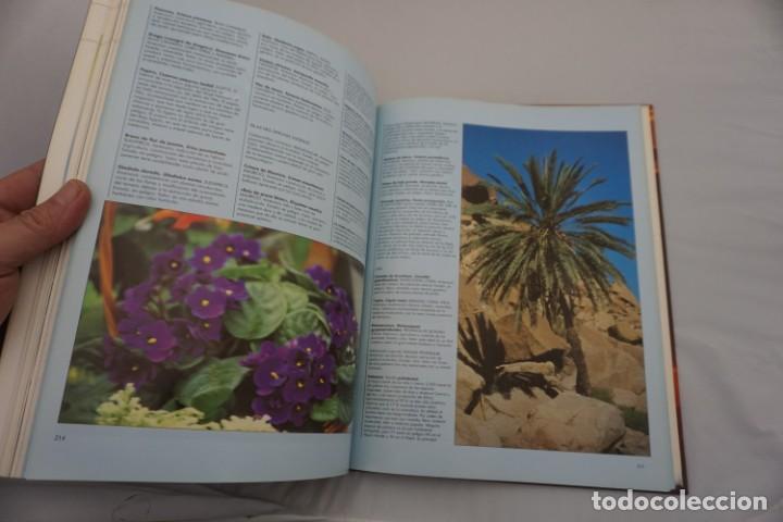 Libros: 15 G - EL PLANETA VIVO / RBA - Foto 4