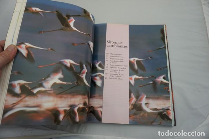 Libros: 15 G - EL PLANETA VIVO / RBA - Foto 6