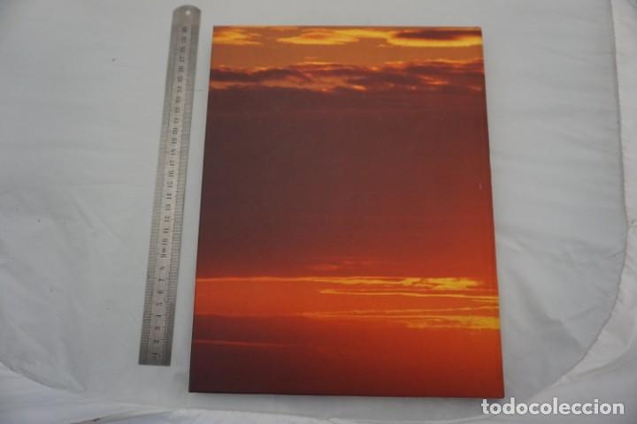 Libros: 15 G - EL PLANETA VIVO / RBA - Foto 7