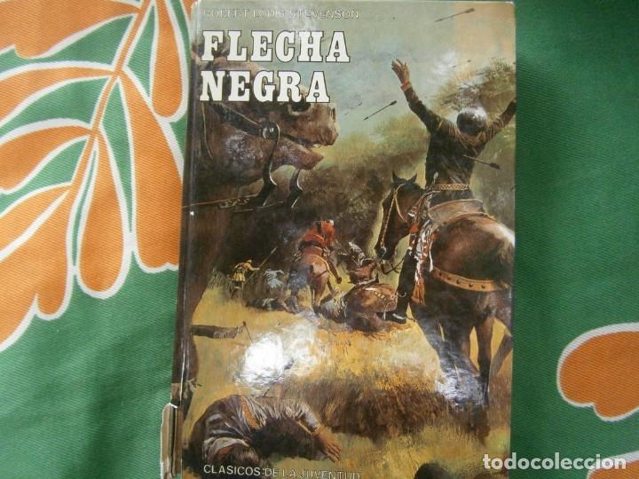 Libros: ROBERT LOUIS STEVENSON, FLECHA NEGRA - Foto 1