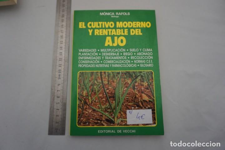 Libri di seconda mano: 19A - EL CULTIVO MODERNO Y RENTABLE DEL AJO - MONICA RAFOLS / EDITORIAL VECCHI