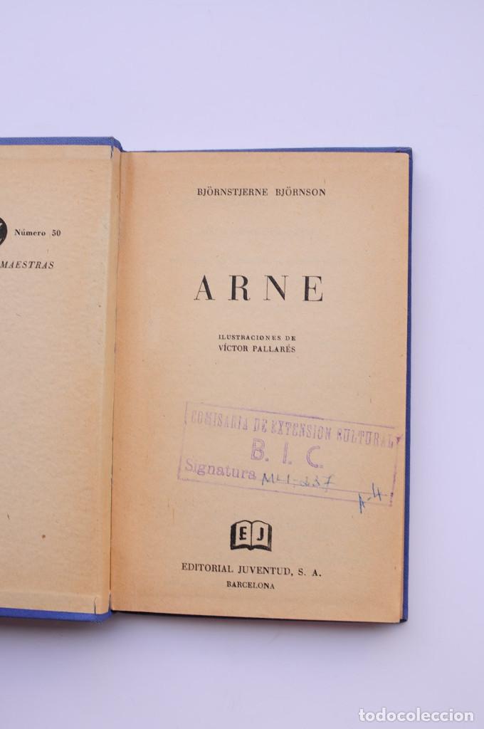 Libros: Arne - BJ&Ouml;RNSON, Bj&ouml;rnstjerne - Foto 2