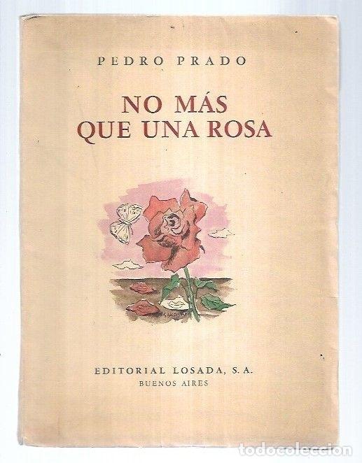 Libros: NO MAS QUE UNA ROSA - PRADO, PEDRO - Foto 7